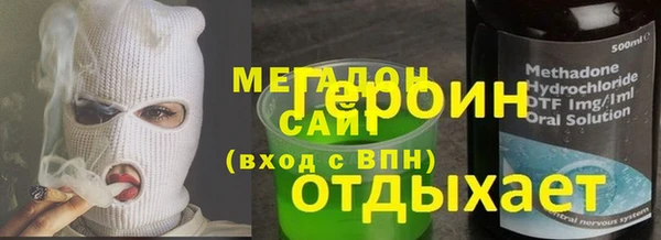 индика Осинники