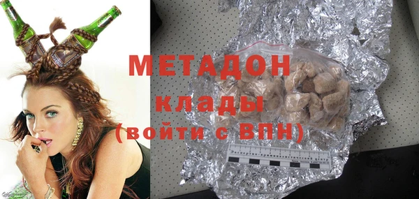 индика Осинники