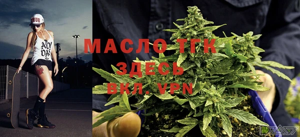 индика Осинники