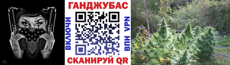 Купить где Отрадная Каннабис конопля